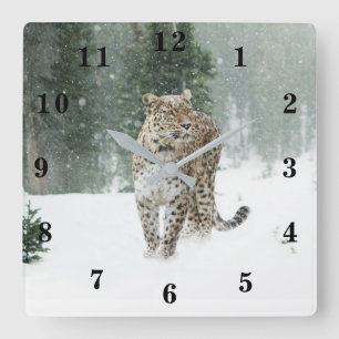 Snö Leopard Fyrkantig Klocka