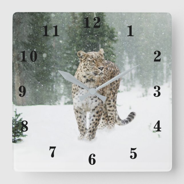 Snö Leopard Fyrkantig Klocka (Framsida)