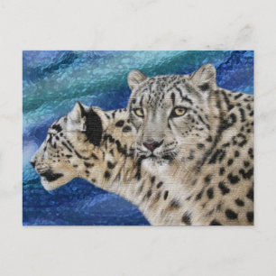 Snö Leopard Habitat-vykort Vykort