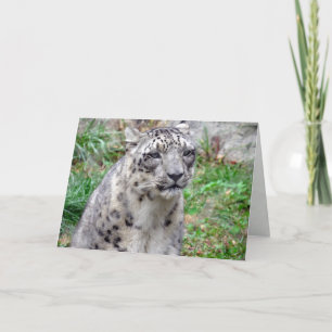 Snö Leopard-hälsningskort Kort