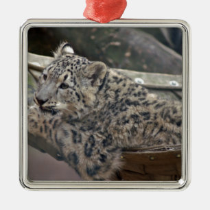 Snö Leopard Julgransprydnad Metall
