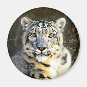 Snö Leopard Magnet