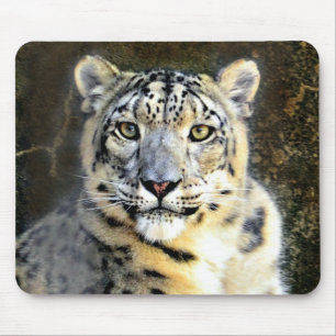 Snö Leopard Musmatta
