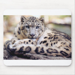 Snö Leopard Musmatta