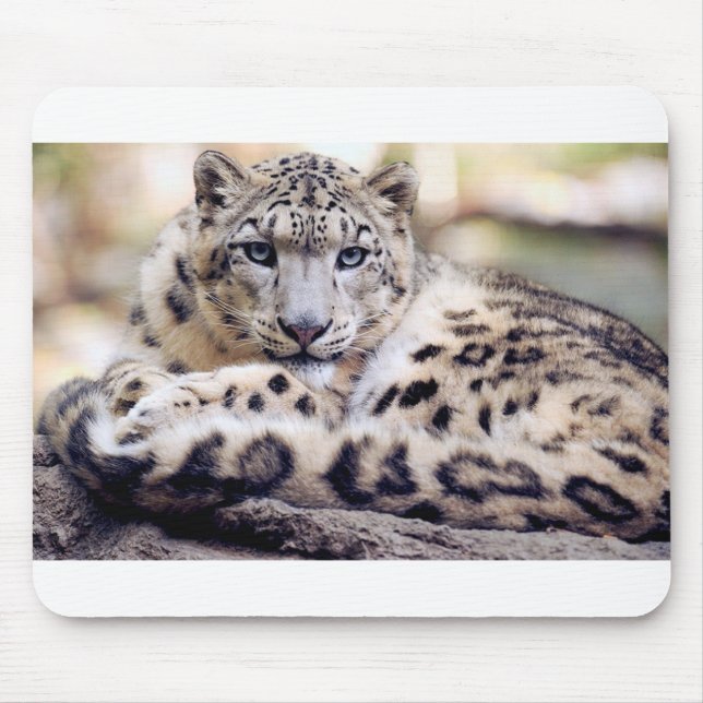 Snö Leopard Musmatta (Framsidan)