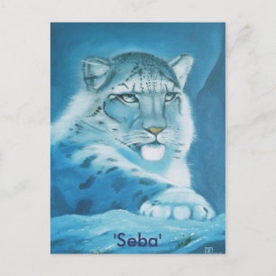 snö leopard, "Seba" Vykort