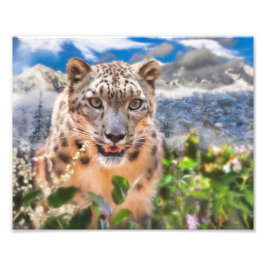 SNÖ LEOPARD SPRINGTIME FLOWERS FOTOTRYCK