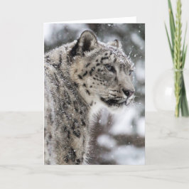 Snö Leopard Stands i Snö Helgkort