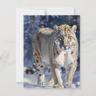 Snö Leopard Study D - Oils Julkort