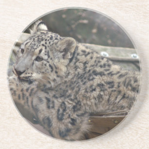 Snö Leopard Underlägg