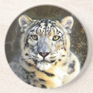 Snö Leopard Underlägg Sandsten