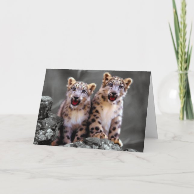 Snö Leopard Unge Kort (Framsida)