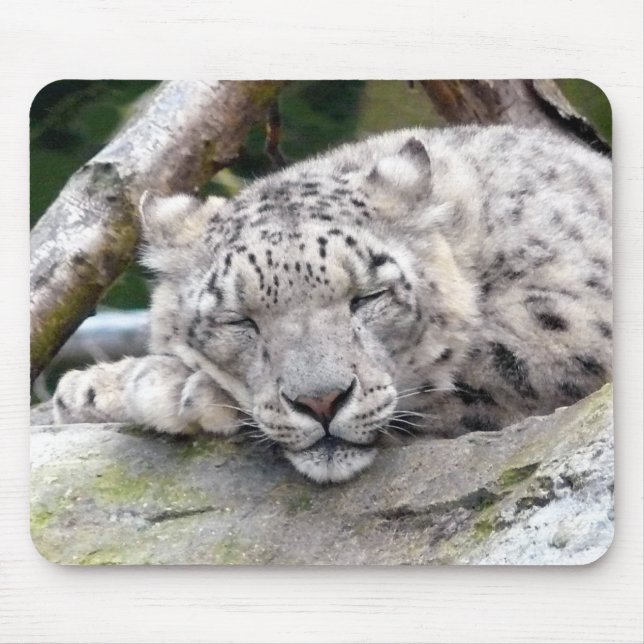 Snö Leopard - vacker! Musmatta (Framsidan)