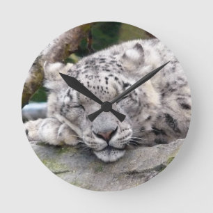 Snö Leopard - vacker! Rund Klocka