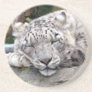 Snö Leopard - vacker! Underlägg Sandsten