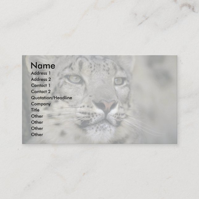 Snö Leopard Visitkort (Framsida)