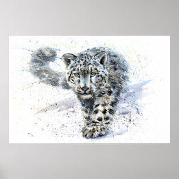 Snö Leopard Watercolor Poster