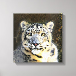 Snö Leopard Wrapped Canvas