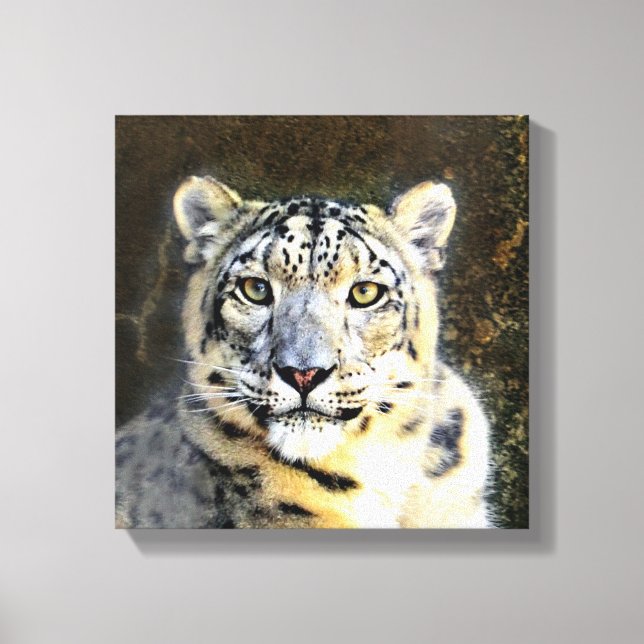 Snö Leopard Wrapped Canvas (Framsida)