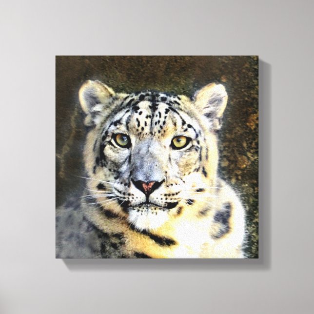 Snö Leopard Wrapped Canvas (Framsida)