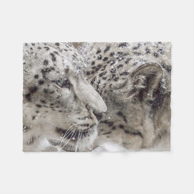 Snö Leopards Cuddling Fleecefilt (Framsidan (Horisontell))