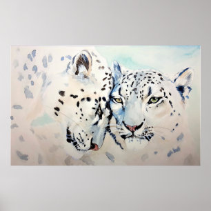 Snö Leopards Poster