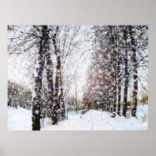 Snö liggande Poster