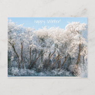 Snö liggande vinter-foto vykort