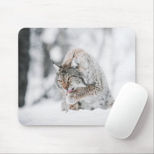 Snö Lynx Musmatta