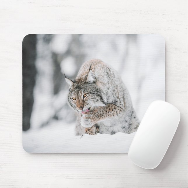 Snö Lynx Musmatta (Med mus)