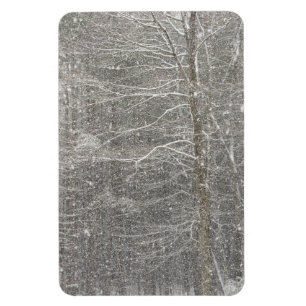 Snö Magnet