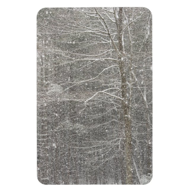 Snö Magnet (Vertikal)