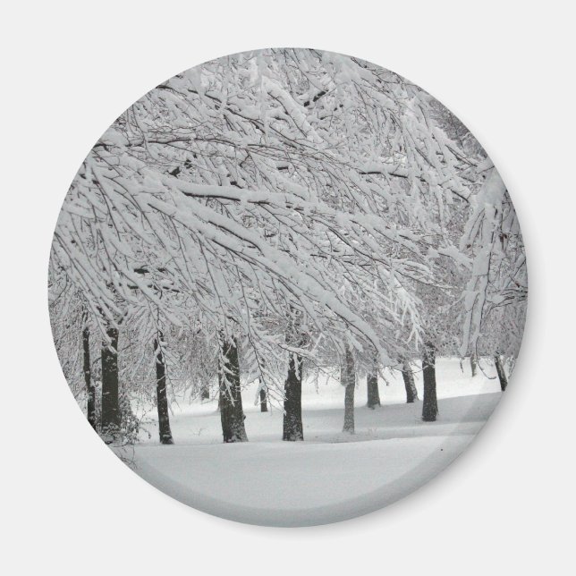 snö magnet (Framsidan)