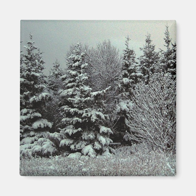 Snö-magnetblankvett Magnet (Framsidan)