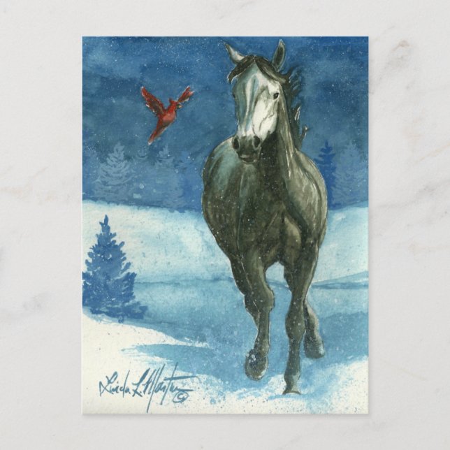 Snö Märkre Vild Horse Post Card Vykort (Framsida)