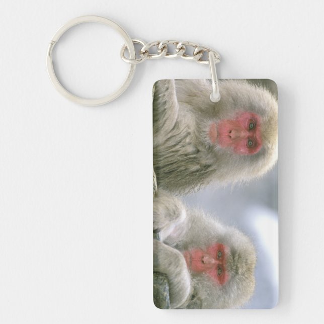 Snö Monkey Couple, Japan Macaque (Framsidan)