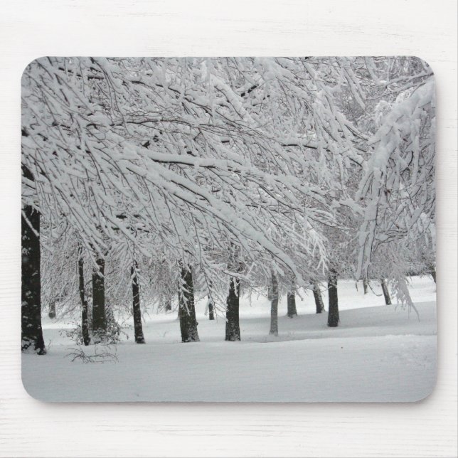snö musmatta (Framsidan)