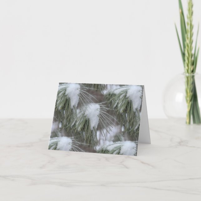 Snö Och Is Vinter Natur Fotografi  Anteckningskort (Framsida)