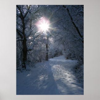Snö och ljus poster