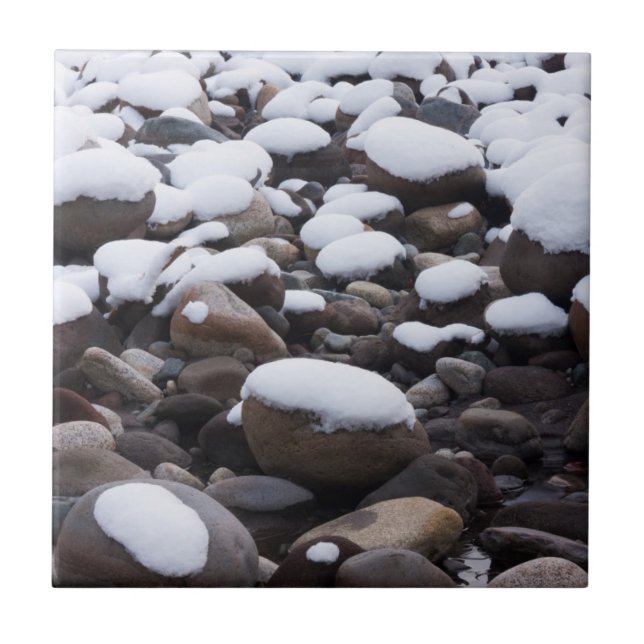 Snö och stenar, Mt. Rainier National Park Kakelplatta (Framsidan)