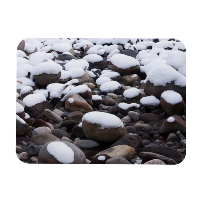 Snö och stenar, Mt. Rainier National Park Magnet (Horisontell)