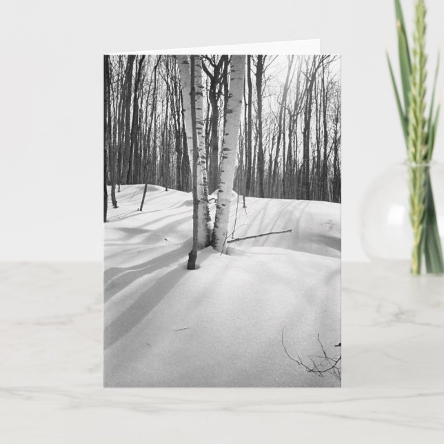 Snö- och vitbjörkar kort (Framsida)