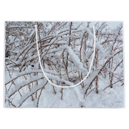 Snö om en hallonskorpa —