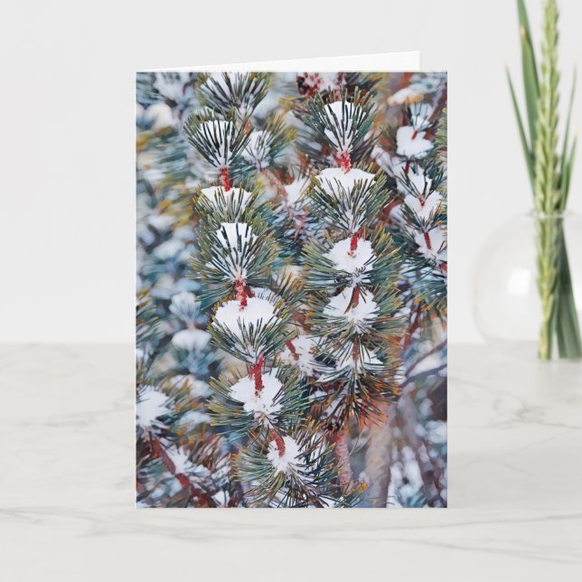 Snö om Gräs Grenar-julkort Kort (Framsida)