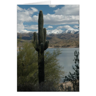 SNÖ OM TALARNA HÄLSNINGSKORT