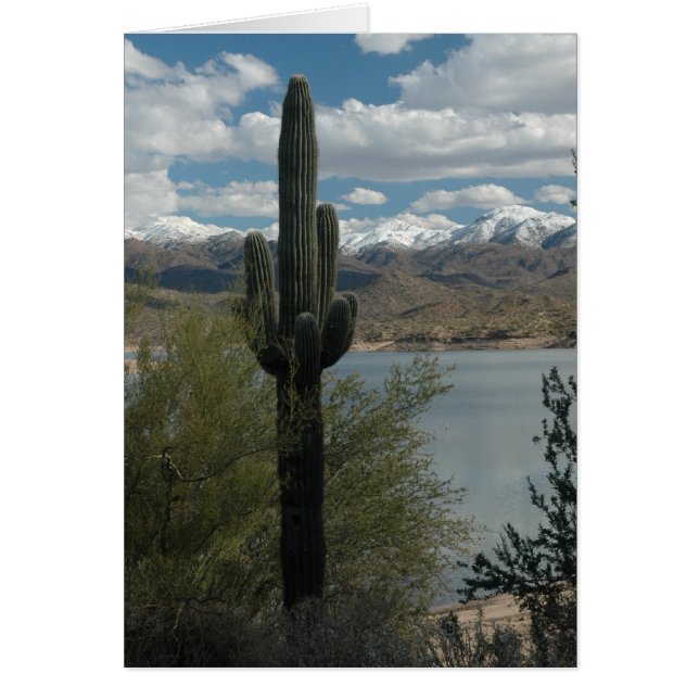 SNÖ OM TALARNA HÄLSNINGSKORT (Framsidan)