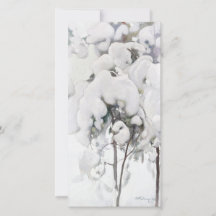 Snö omfattade Gräs Saplings (av Pekka Halonen)