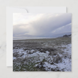 Snö över bukens platta kort