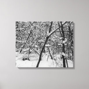 Snö på det svartvita fotoet för träd på kanfa canvastryck