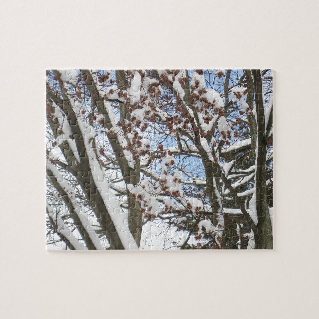 Snö på en japansk apel — pussel (Horisontell)